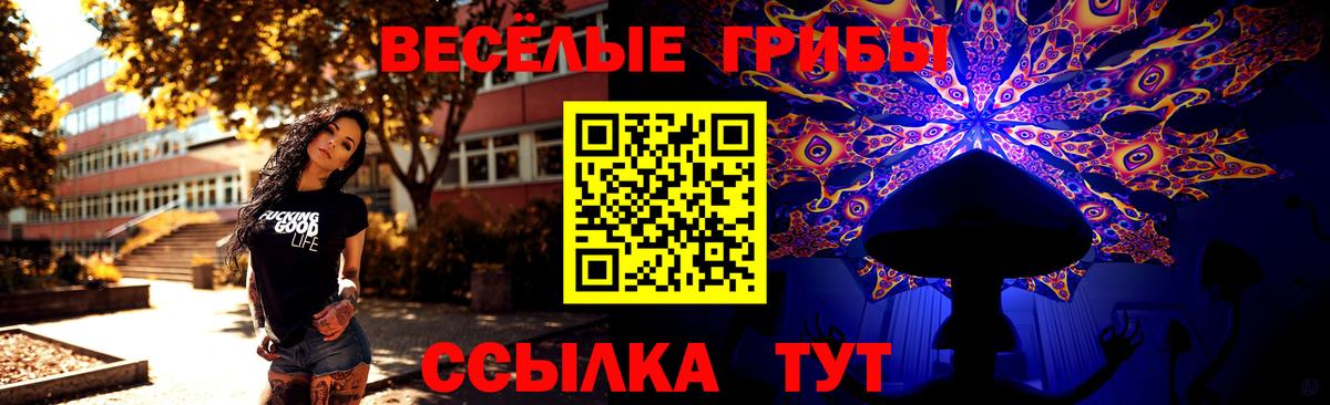 Псилоцибиновые грибы мицелий Жигулёвск